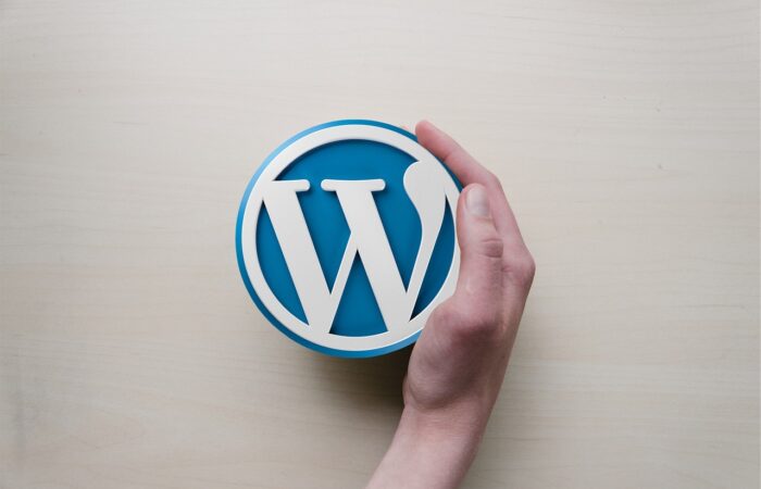 Simplifier_le_partage_de_fichiers_grâce_à_Wordpress_Intranet_:_une_avancée_High_Tech